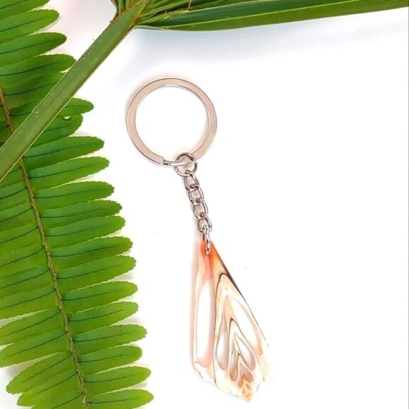 Seashell Keyring Slice Conch Seashell Clearwater Beach, Florida - Picture 1 of 11